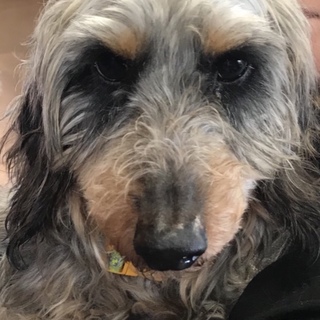 Ｉ☆６８ 里親さん募集です(^ ^)