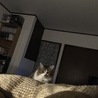 の写真