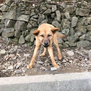 里親様決定しました‼️