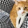 甘えん坊さん