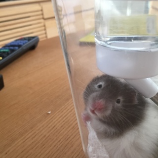 たくさんの応募ありがとうございました。