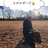 公園 de YOGA !