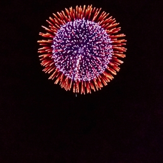 里親さん募集中