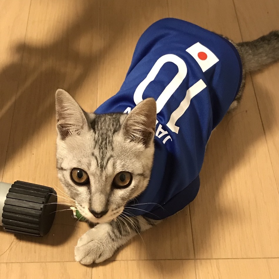 マックのカバー写真