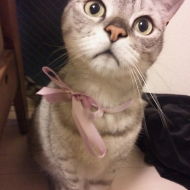 DO→のカバー写真