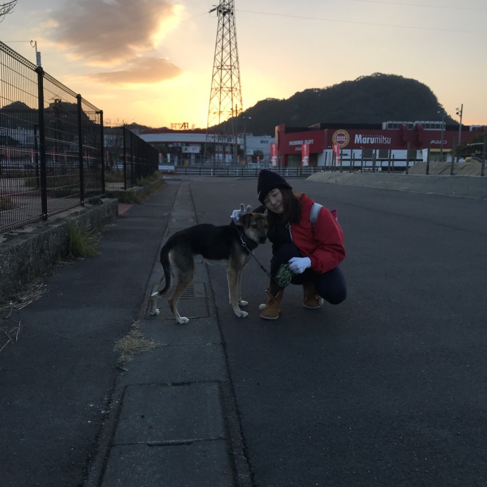 ザックのカバー写真