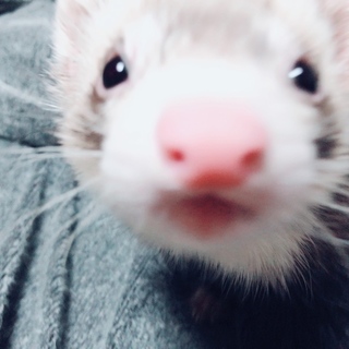 甘えん坊の男の子