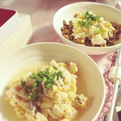 「レオの皮膚炎と手作りご飯の導入」サムネイル1