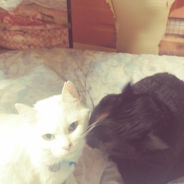 毛繕いされながらのカメラ目線