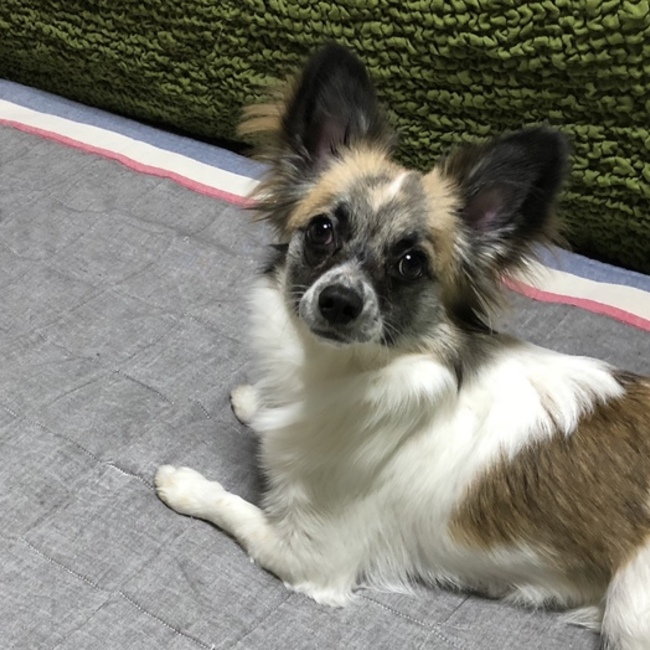 りずなむのカバー写真