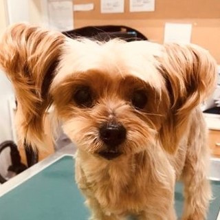 人の事が大好きな寂しがり屋の女の子♪