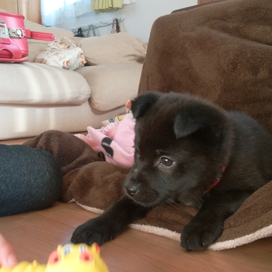 クロードのカバー写真