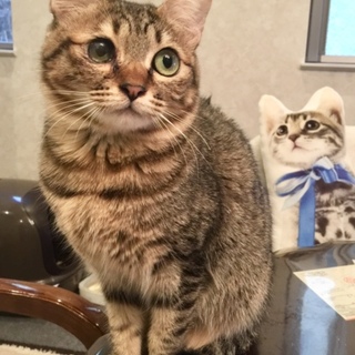 9か月 元気娘 ピノちゃん