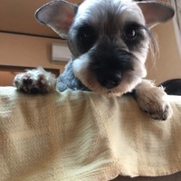 むたろう
