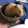 ちゃんまーさん
