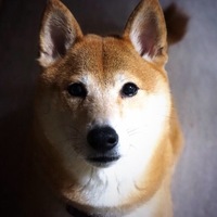 今崎くう