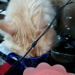 「姉さん、事件です／(^o^)＼」サムネイル3