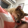B817 さん
