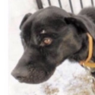 急募❗️時間がありません。