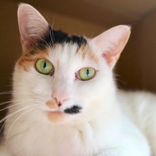 【エマ】募集終了しました