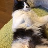 中村オセロ