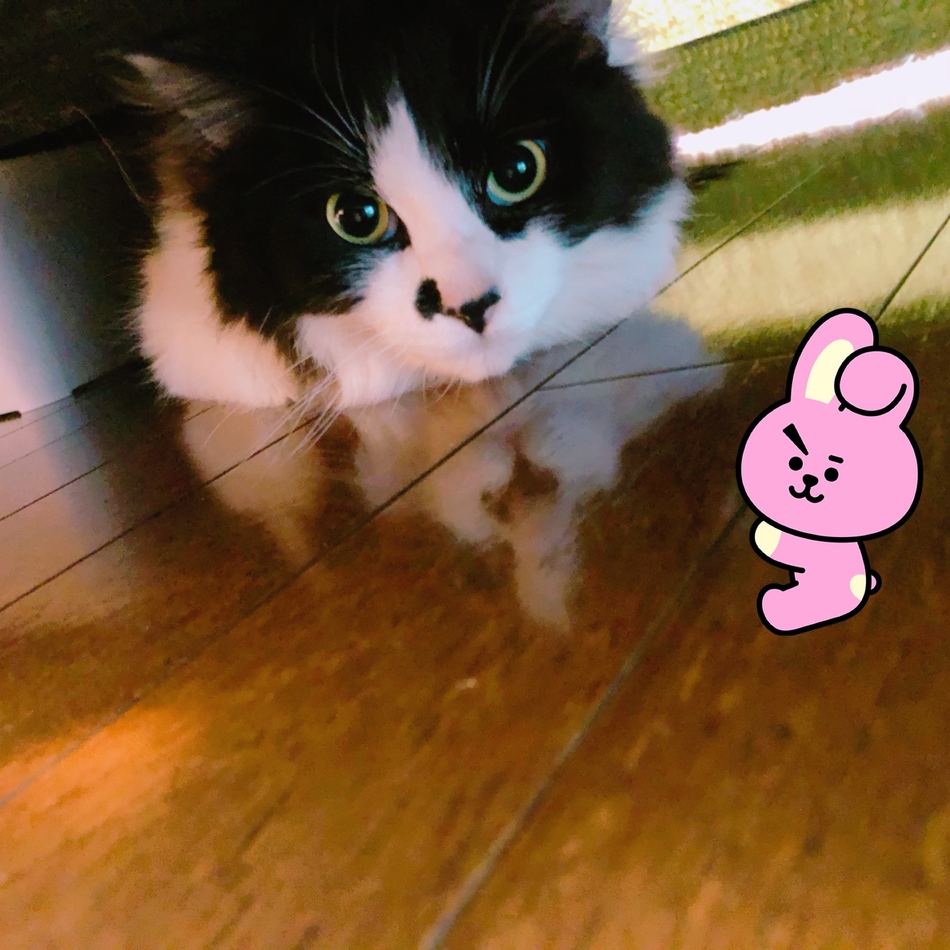 中村オセロのカバー写真