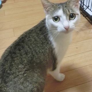 里親様決定しました。