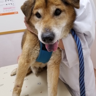 穏やかな龍くんに温かい家族を！