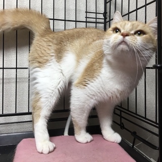 ビビリなドゥーエちゃん。