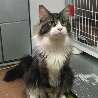 ずっとのお家を 募集中