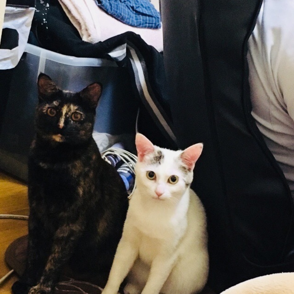 もかのカバー写真