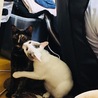 噛んじゃえ！