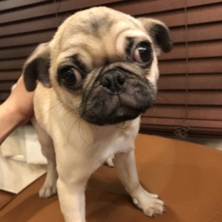 暖かい家族が決まりました！