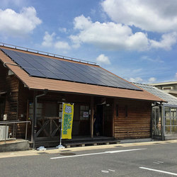 日進市にて譲渡会開催 サムネイル2