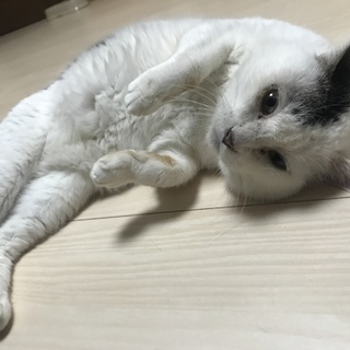 雨ちゃん★顔の大きなオニギリ兄弟★