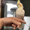 可愛がってくださる方、お願いしますm(_ _)m