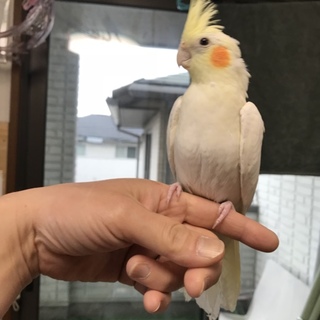 可愛がってくださる方、お願いしますm(_ _)m