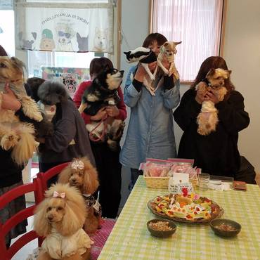 9歳のお誕生日会沢山の方々から祝っていただきました。