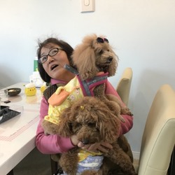 kikiしゃまこうたぁが来てから