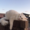 たけちゃん22