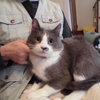 小屋から出してあげたい！おっとり靴下けん君