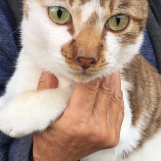抱っこ大好き‼️せんちゃんです
