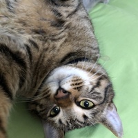 ゆう