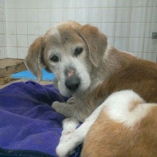 ボランティアさんに引き出されました