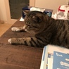 弟のご飯チェック