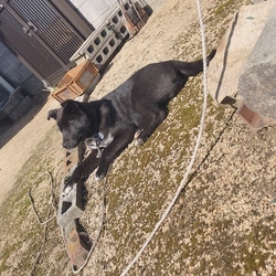 「大寿日記6」サムネイル2