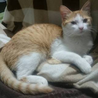 皆様の温かい申し出、本当にありがとうございました。