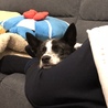 可愛い寝顔です(*´ω｀*)