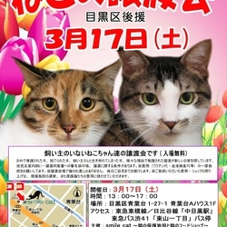 ★３月１７日（土）「ねこの譲渡会（目黒区後援）」smile cat＠中目黒（室内） サムネイル1