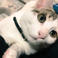 雪